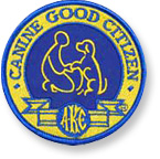 CGC patch logo